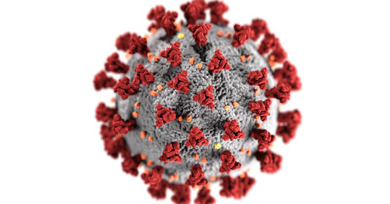 Coronavirus : les mesures de protection actuelles restent en place