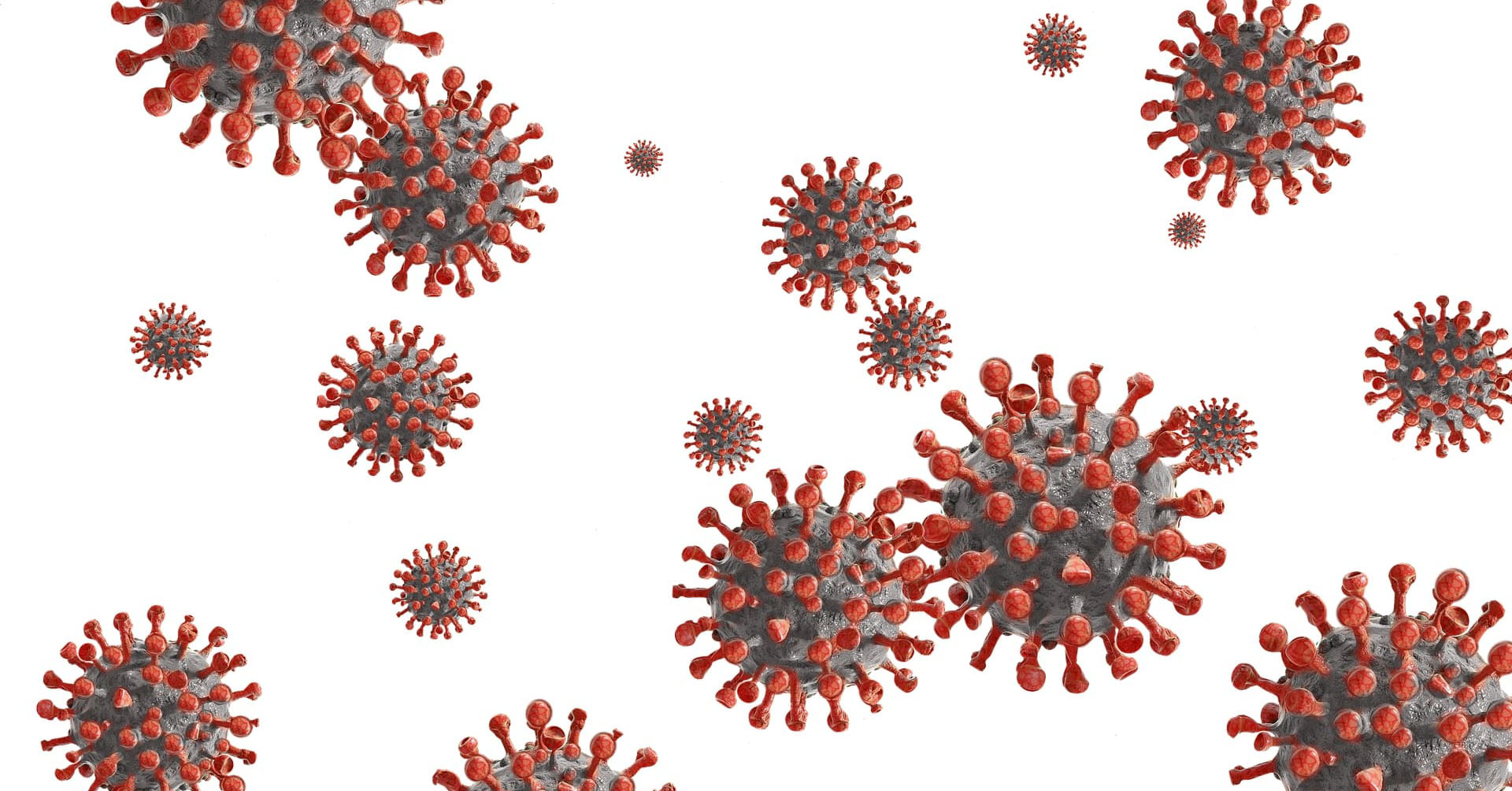Coronavirus: non è previsto il certificato Covid per la formazione continua