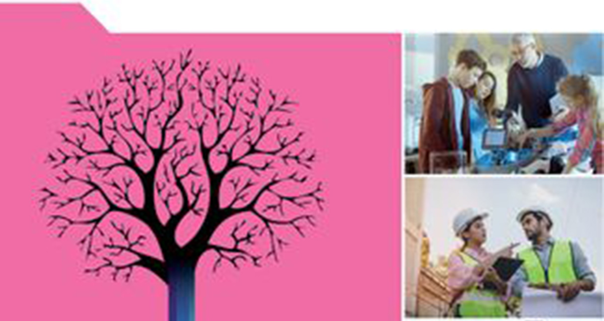 Am rechten Rand des Bildes befinden sich zwei Darstellungen aus der Bildungs- und Arbeitsbranche und links ein auf pinkfarbenem Hintergrund, in schwarz gehaltener Baum mit zahlreichen Verästelungen was die grosse Anzahl an Lernwegen verdeutlichen soll.